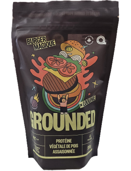 Burger magique - Grounded