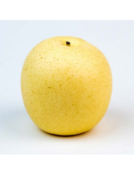  Asian pears