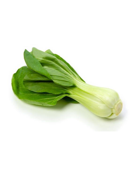 Pac choi biologique