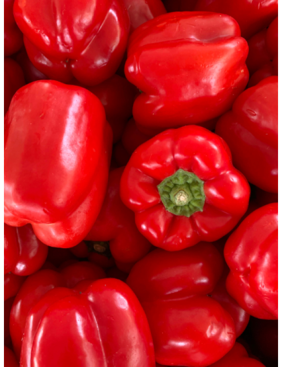 Poivrons rouges biologique