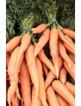 Carottes 2 lbs biologique