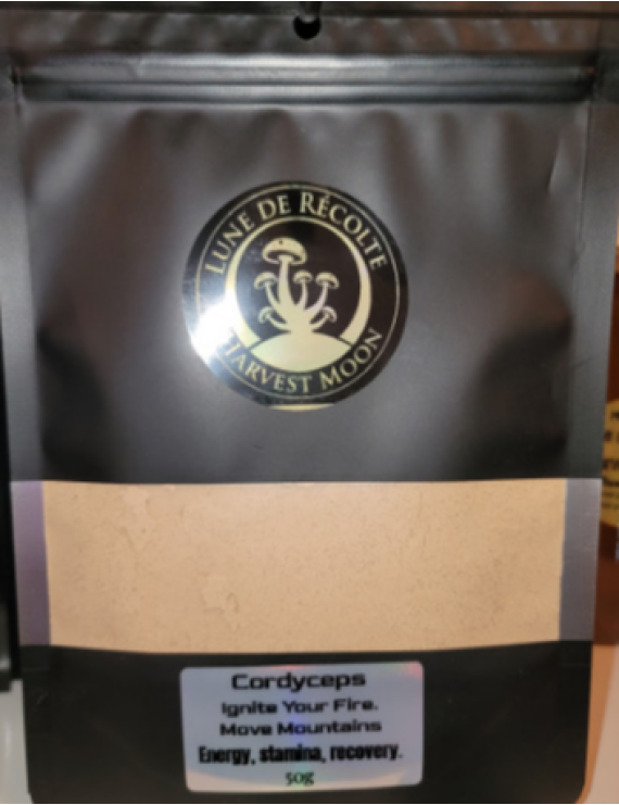 Cordyceps 50g en poudre