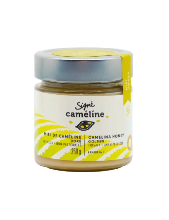 Miel de caméline crémeux doré