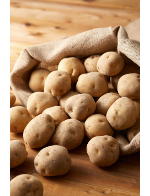 Pommes de terre blanches bio