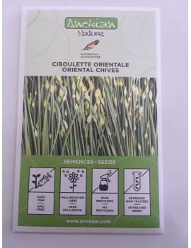Semences ciboulette orientale (Anokian) Semences ciboulette orientale (Anokian)