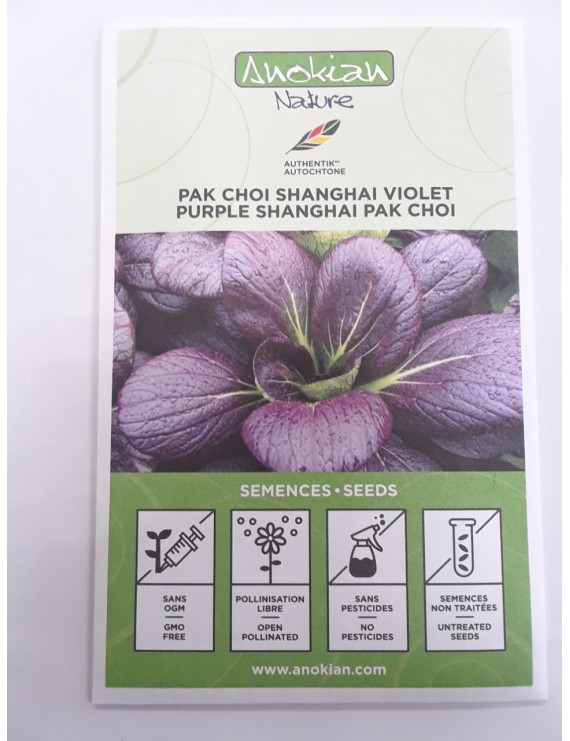 Semences pak choi Shanghai violet (Anokian)