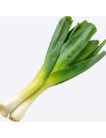 Organic Leek
