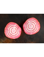 Chioggua beet organic