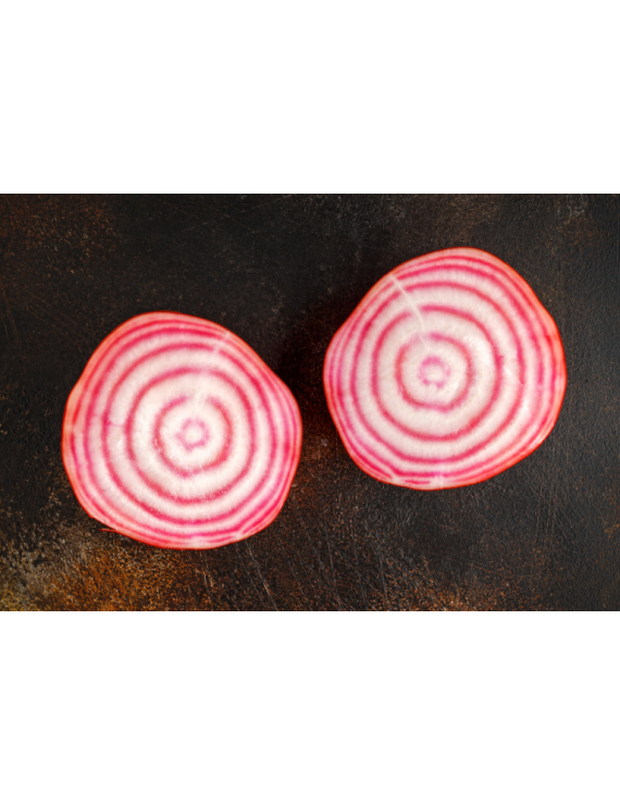 Betteraves Chioggia bio