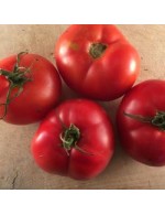 Seeds - Tomato - Montreal Tasty