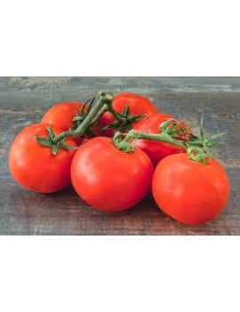 Tomates de vigne 
