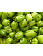 Poivrons verts biologique