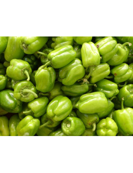 Poivrons verts biologique