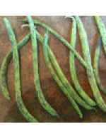 Seeds - Green Pole Bean Rattlesnake
