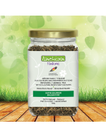 Balsam fir Decoction/Herbal tea