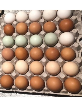 Color Eggs, (Free-range eggs)
