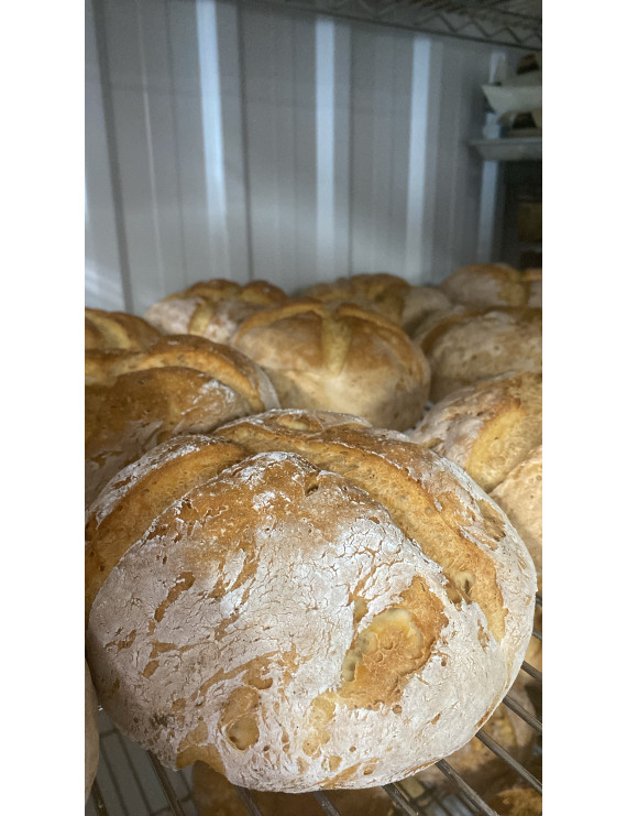 Pain sans gluten 