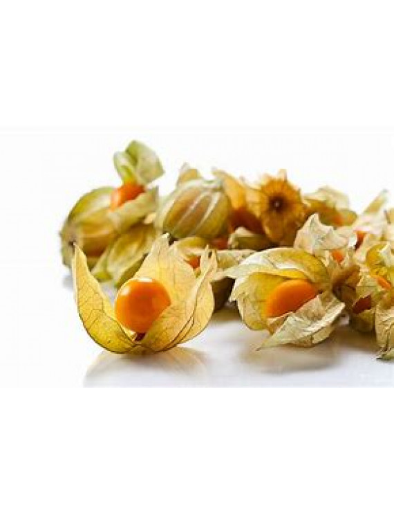 Cerises de terre biologique