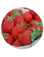 Fresh Strawberries 1 liter