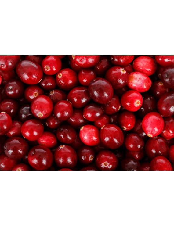 Canneberges biologiques