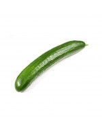 English Cucumber 