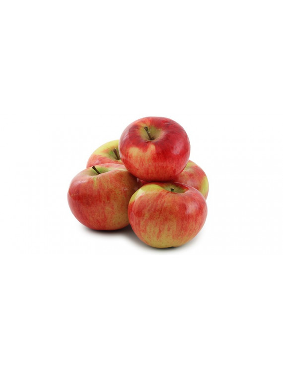 Pommes Paula Red