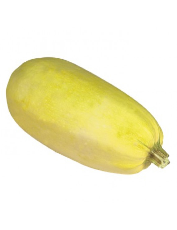 Courge spaghetti biologique