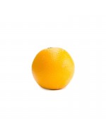 Valencia Oranges 