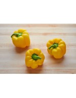 Yellow Sweet peppers
