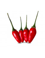Firecracker pepper