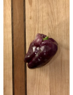 Purple bell pepper