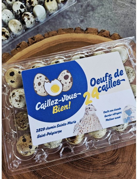 Oeuf de caille frais 24 unités