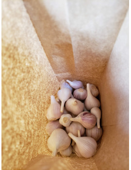Sac 1 Livre D'ail
