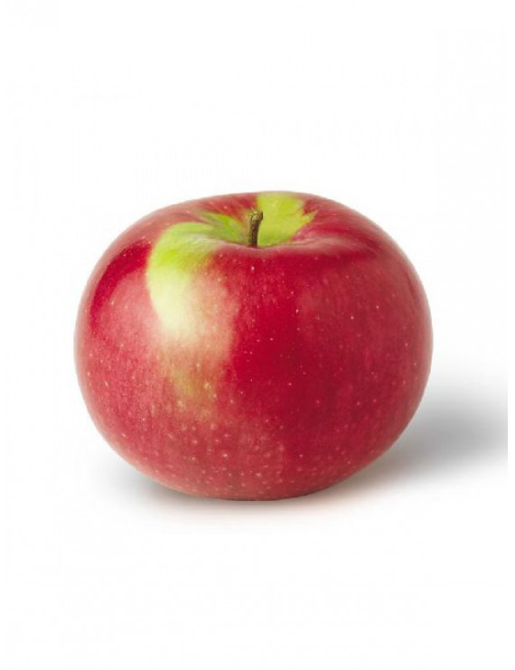 Pomme McIntosh biologique