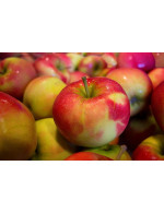 Jersey Mac apples