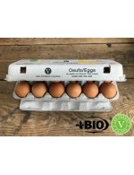 Eggs Organic large