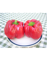 Sweet Red Bell Pepper – Organic