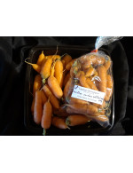 Sweet small Carrots  – organic (bag)