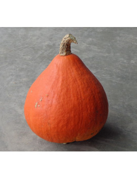 Red Kuri squash – organic Sold by weight