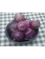 Small Red oignons – organic