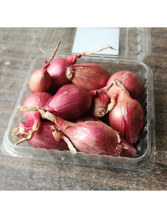 Oignons rouges biologiques – petits