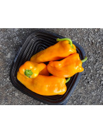 Yellow sweet pepper – organic Sold by weight