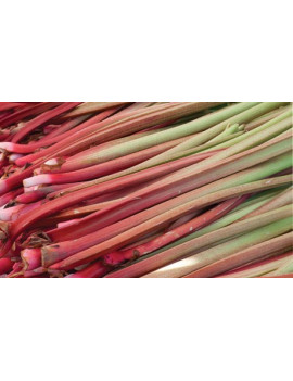Rhubarb – organic