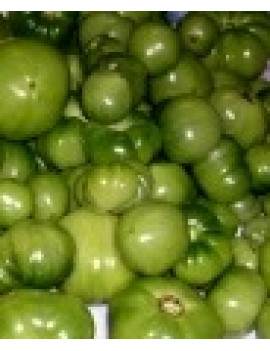 Green tomatoe – organic