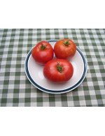 Tomate rouge ''Moskovich'' biologique