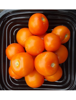 Tomate saladette orange
