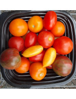 Tomates saladettes biologiques