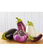 Eggplant '6 pack mix' plants