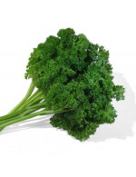 Parsley 'curley' plant