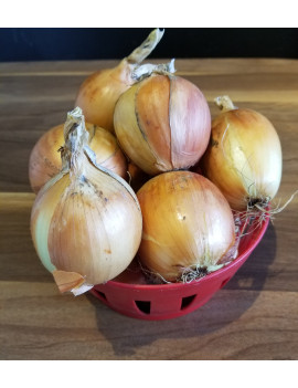 Organic yellow onions 5 pounds